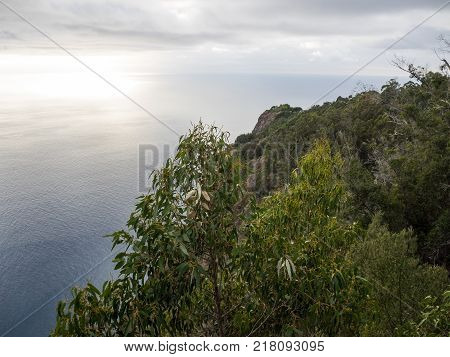 the coasline and the nature of the Island of madeira