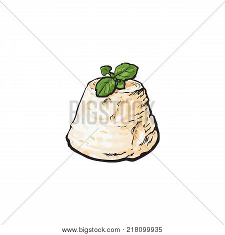 Greek, Feta, fresh, homemade cheese sketch style vector illustration on white background. Realistic hand drawing of homemade, Feta, Greek cheese decorated with basil leaves