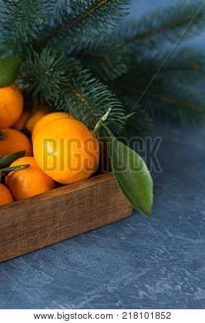 Close-up citrus. Bright ripe tangerines with green leaves on dark blue background. Fir and candy cane. Selective focus . Christmas concept.