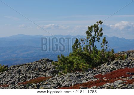 Kurtushibinskiy range of West Sayan Range Autumn