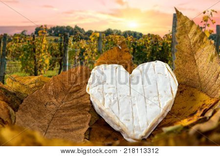 a French Neufchatel cheese shaped heart on autumn leaves