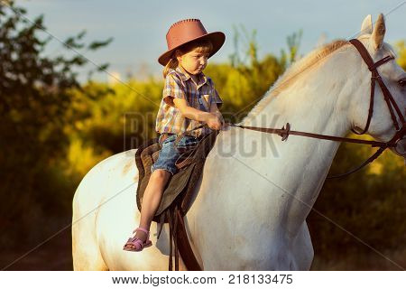 the girl in a hat sits on a white horse