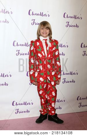 LOS ANGELES - DEC 10:  Mason McNulty at the Chandler's Friends Toy Drive & Wrapping Party  at Los Angeles Ballet Academy on December 10, 2017 in Los Angeles, CA