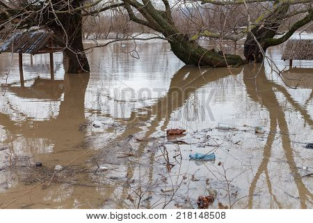 The river after the downpours came out of the banks. Flooding of river bank, trees after flood