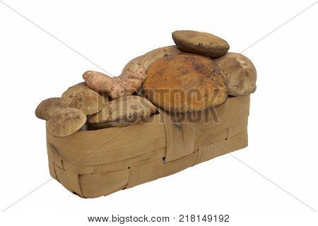 wicker basket full of fresh mushrooms of the forest. Isolated