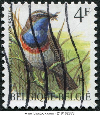 BELGIUM - CIRCA 1989: A stamp printed in Belgium depicts a bird Bluethroat (Luscinia svecica) circa 1989