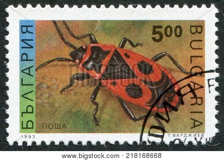 BULGARIA-CIRCA 1993: A stamp printed in the Bulgaria shows the insect Firebug circa 1993