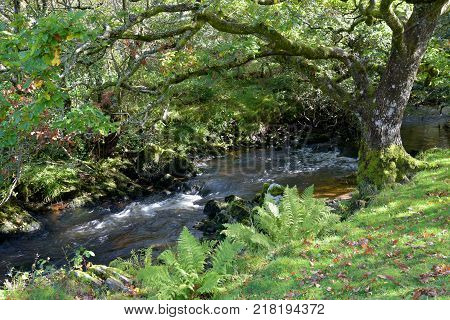 Badgworthy River in Doone Valley, Exmoor, North Devon