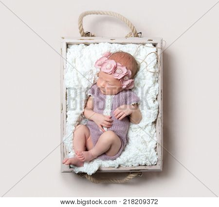 Beautiful newborn baby girl sleeps