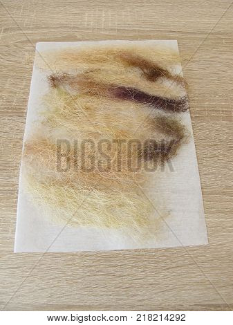 Dried corn silk, maydis stigma, on paper
