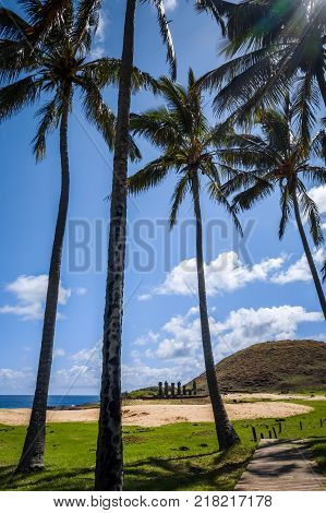 Anakena palm beach and Moais statues site ahu Nao Nao easter island Chile