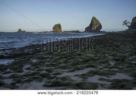INDONESIA: Scenery of Tanjung Papuma Beach with rock and mossy foreground. Papuma beach is located at Jember,Surabaya, East Java.