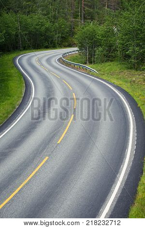 Empty Winding Forest Road