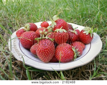 Strawberries on field