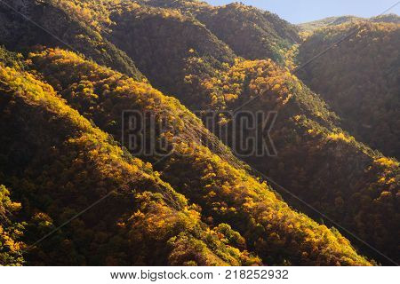 A view from above of the mountains and hills covered with green and yellow trees