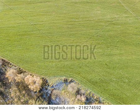Field near Lugovaya. Moscow region. Winter crops. View from above