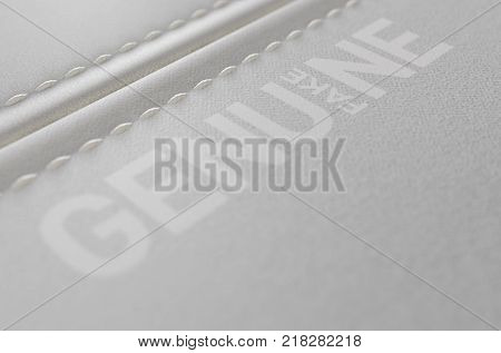 Canvas Material And Stitched Seam Fake Print