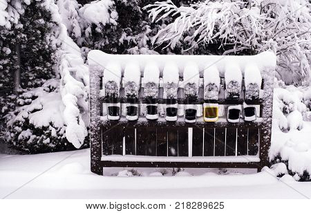 Multiple mailboxes covered in snow. One yellow paper box standands out with color.