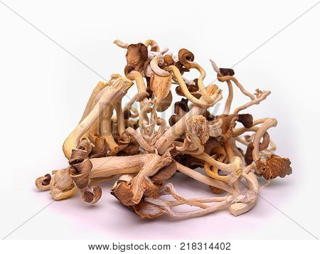 (Close Up) dried mushrooms isolated on white background.