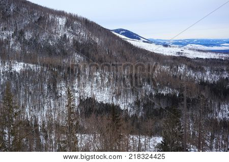 View of the High Tatras mountains from a ski and hiking Hrebienok resort (altitude 1285 m.) located in the Tatra National park. Slovakia.
