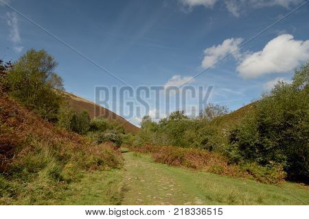 Path in Doone Valley, Exmoor, North Devon
