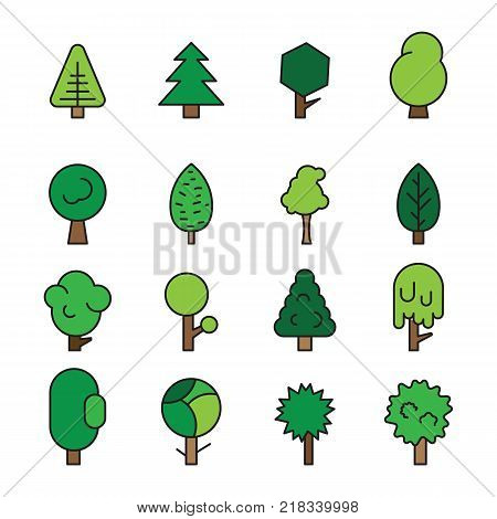 Set forest trees, evergreens coniferous trees and pine isolated on white background vector illustration. Green color forest trees vector image