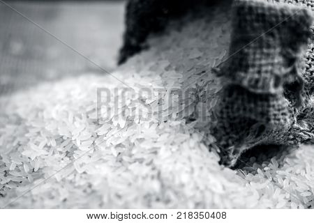 Raw Organic Rice,oryza Sativa, Coming Out From A Gunny Bag.
