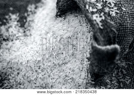 Raw Organic Rice,oryza Sativa, Coming Out From A Gunny Bag.