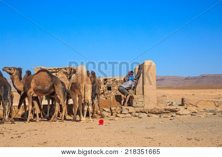 Ait Saoun Morocco - February 23 2016: Unidentified men with camels at well taking water in Ait Saoun desert in Morocco