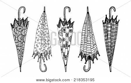 Five umbrellas in a row. Hand drawing. Vector illustration.