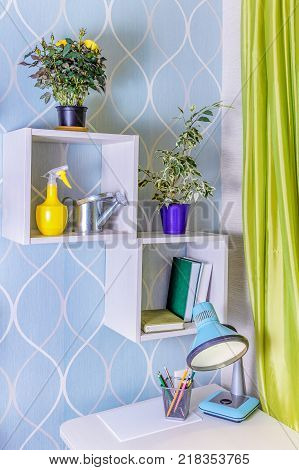 Shelves in the house with house plants and books. On the photo are flowers of Rose Star and Ficus benjamina.