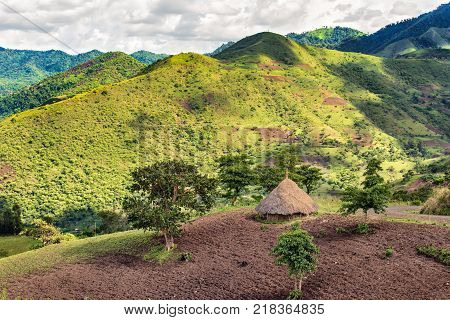 Traditional ethiopian hut in the Bonga forest reserve in southern Ethiopia
