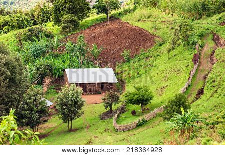 Ethiopian housing in the Bonga forest reserve in southern Ethiopia