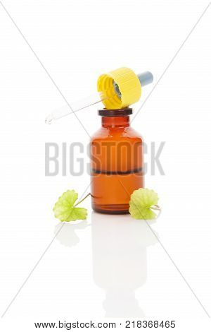 Gotu kola extract. Asiatic Pennywort in medicine dropper isolated on white background.