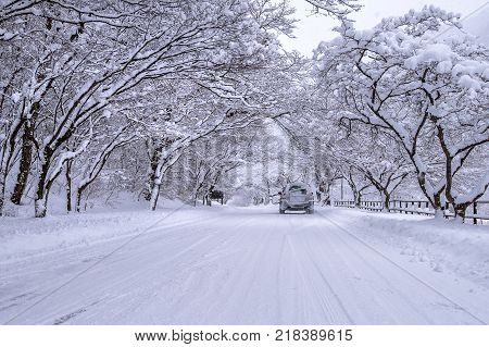Car and falling snow in winter on forest road with much snow.