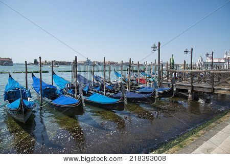 Gondolas moored by Saint Mark square with San Giorgio di Maggiore church in Venice Italy - June 20 2017