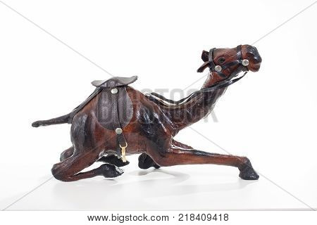 Camel on isolated white studio background. Closeup photo. Clipping path. Easy to use. White background. Cutout cut out.