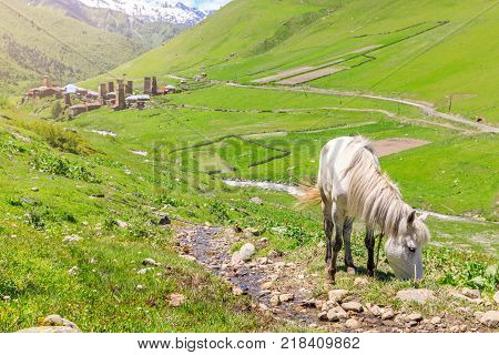 White horse and the Ushguli village at the foot of Mt. Shkhara. Picturesque and gorgeous scene. Rock tower in Ushguli - the highest inhabited village in Europe
