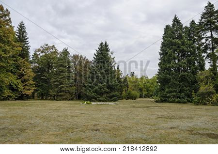 View toward forest and glade in National monument of landscape architecture Park museum Vrana in former time royal palace on the outskirts of Sofia, Bulgaria, Europe