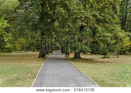 View toward forest, glade and path in National monument of landscape architecture Park museum Vrana in former time royal palace on the outskirts of Sofia, Bulgaria, Europe