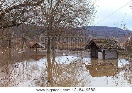 The river after the downpours came out of the banks. Flooding of river bank, trees after flood