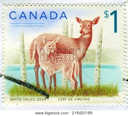 GOMEL, BELARUS, 13 DECEMBER 2017, Stamp printed in Canada shows image of the White-Tailed Deer, circa 2017. 