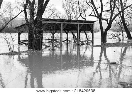 The river after the downpours came out of the banks. Flooding of river bank, trees after flood