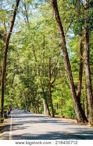 Asphalt straight road in the countryside of Thailand.