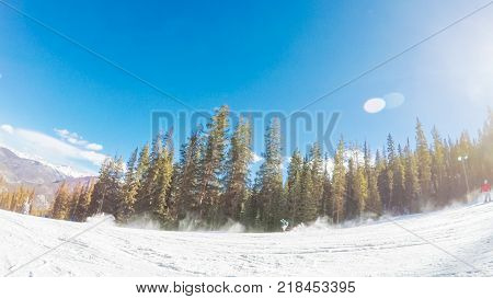 Alpine Skiing