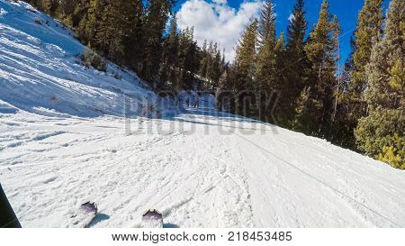 Alpine Skiing