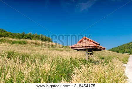 Pavilion along the road up the mountain in Ko-Lan Thailand. Has stunning views Sky Blue Sky Live A holiday weekend with family.