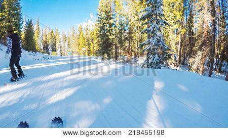 Alpine Skiing