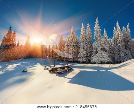 Colorful winter sunrise in the forest. Splendid Christmas scene in the mountains. Artistic style post processed photo.