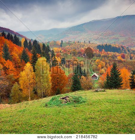 Colorful rural scene in the Kvasy village Transcarpathian Ukraine Europe. Beautiful autumn landscape in the mountains. Artistic style post processed photo.